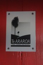Te Araroa : les 33 premiers jours