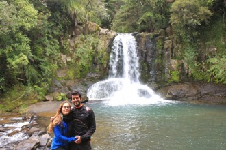 Kauri Tree & Falls